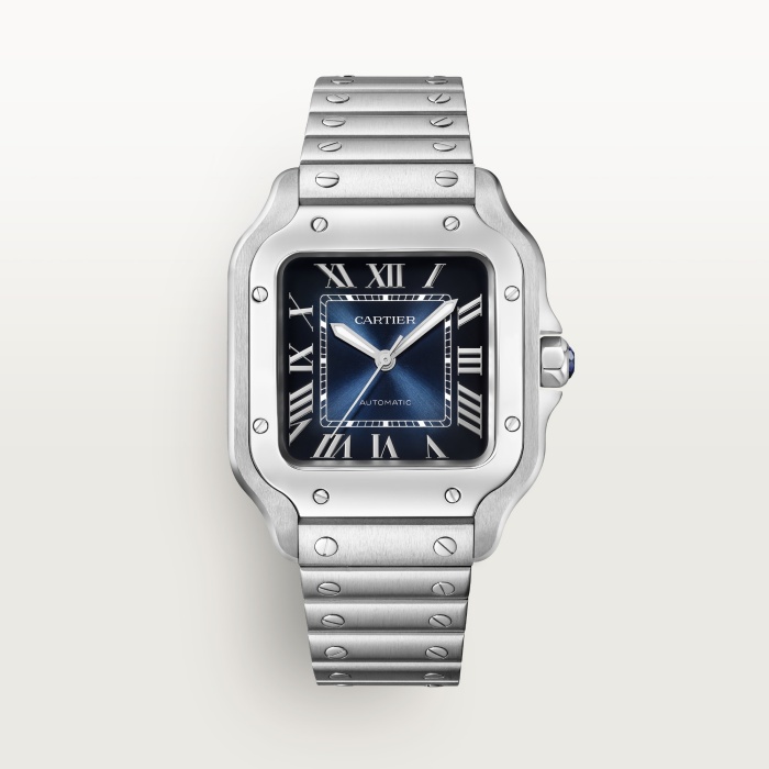 [Cartier] ���佺 �� ��쿡 ��ġ WSSA0063