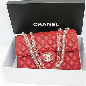 48220 ���� ����� ���� ���� (�簡��)