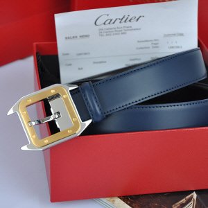 [Cartier] Cartier ��쿡 ��Ʈ