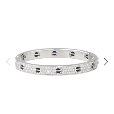 [Cartier] ��쿡 ���� �극�̽��� �ĺ�