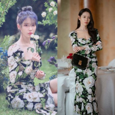 [D & G] ��ü�� ���ٳ� �÷η� ��ũ �巹�� 20050530
