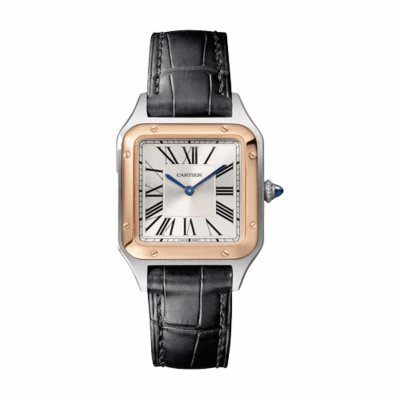 [Cartier] ��쿡 ���佺- �ڸ� ���� �����Ʈ ���׽ð� 6color W2SA0012