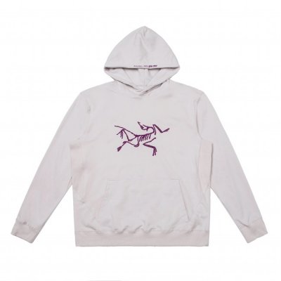 [ARCTERYX] ��ũ�׸��� * �ȶ� �ΰ� �ĵ� Ƽ���� 22101245