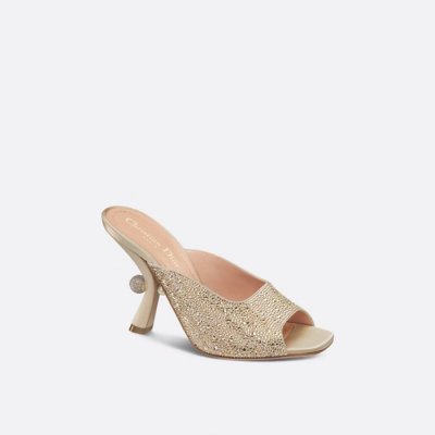 [Dior] ��� Dior Or Dior Tribales Heeled Slide KCO174CST
