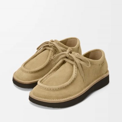 [LOEWE] �ο��� �ķ� ���̽��� - �����̵� ī����Ų M816284X42