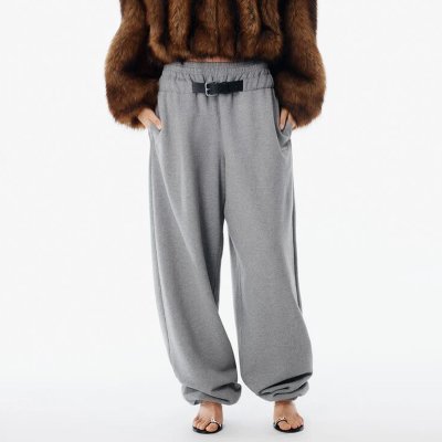 [Alexander Wang] �˷���� �� �̵������ ��Ʈ ���������� �������� 4CC1264961021