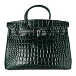 HERMES-6099-CROC1